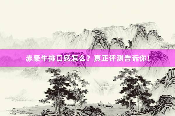 赤豪牛排口感怎么？真正评测告诉你！